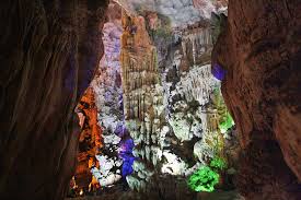 Hang Đầu Gỗ